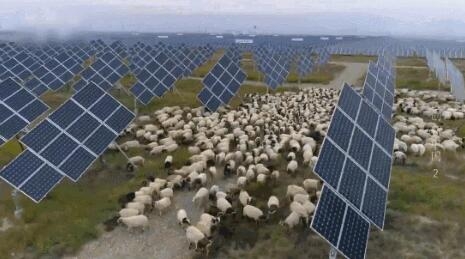 【電廠】2018年水電再次霸屏央視 水光互補項目閃亮登場!【電廠】2018年水電再次霸屏央視 水光互補項目閃亮登場! 行業資訊 第6張 【電廠】2018年水電再次霸屏央視 水光互補項目閃亮登場!【電廠】2018年水電再次霸屏央視 水光互補項目閃亮登場! 行業資訊 第6張
