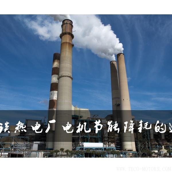 淺談熱電廠電機節能降耗的途徑淺談熱電廠電機節能降耗的途徑 電機知識 第2張