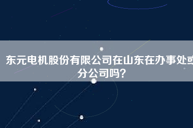 東元電機(jī)股份有限公司在山東在辦事處或分公司嗎?