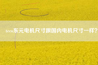teco東元電機尺寸跟國內電機尺寸一樣？