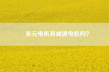 東元電機有減速電機嗎？