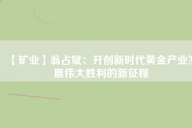 【礦業】翁占斌:開創新時代黃金產業發展偉大勝利的新征程