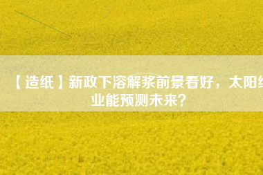 【造紙】新政下溶解漿前景看好,太陽紙業能預測未來?