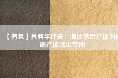 【有色】肖利平代表:淘汰落后產能為高端產能騰出空間
