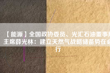 【能源】全國(guó)政協(xié)委員、光匯石油董事局主席薛光林:建立天然氣戰(zhàn)略儲(chǔ)備勢(shì)在必行