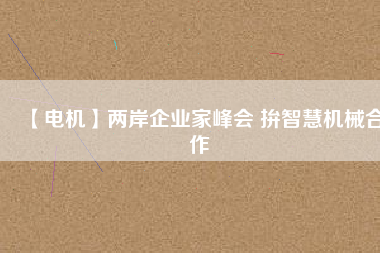【電機(jī)】兩岸企業(yè)家峰會(huì) 拚智慧機(jī)械合作