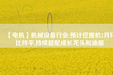 【電機】機械設備行業(yè):預計挖掘機2月環(huán)比持平,持續(xù)超配成長龍頭和油服