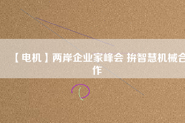【電機(jī)】兩岸企業(yè)家峰會(huì) 拚智慧機(jī)械合作