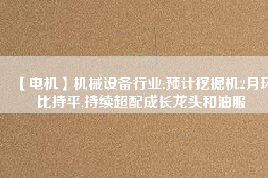 【電機】機械設備行業(yè):預計挖掘機2月環(huán)比持平,持續(xù)超配成長龍頭和油服