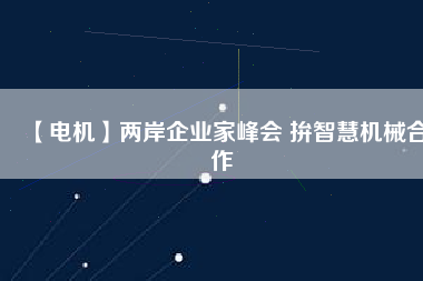 【電機(jī)】兩岸企業(yè)家峰會(huì) 拚智慧機(jī)械合作