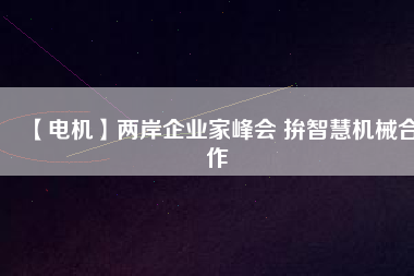 【電機(jī)】兩岸企業(yè)家峰會(huì) 拚智慧機(jī)械合作