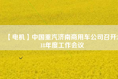 【電機】中國重汽濟南商用車公司召開2018年度工作會議