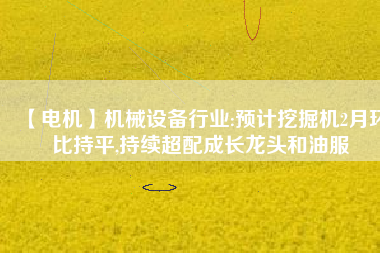 【電機】機械設備行業(yè):預計挖掘機2月環(huán)比持平,持續(xù)超配成長龍頭和油服