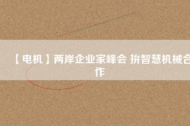 【電機(jī)】兩岸企業(yè)家峰會(huì) 拚智慧機(jī)械合作