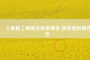 【電機(jī)】兩岸企業(yè)家峰會(huì) 拚智慧機(jī)械合作