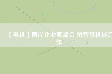 【電機(jī)】兩岸企業(yè)家峰會(huì) 拚智慧機(jī)械合作