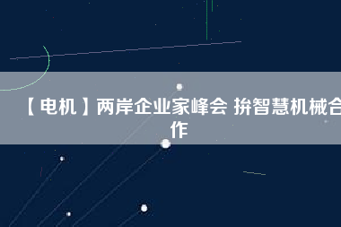 【電機(jī)】兩岸企業(yè)家峰會(huì) 拚智慧機(jī)械合作