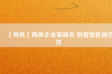【電機(jī)】兩岸企業(yè)家峰會(huì) 拚智慧機(jī)械合作