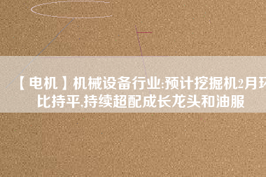 【電機】機械設備行業(yè):預計挖掘機2月環(huán)比持平,持續(xù)超配成長龍頭和油服