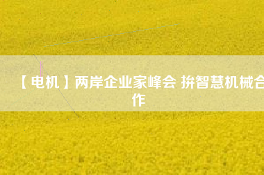 【電機(jī)】兩岸企業(yè)家峰會(huì) 拚智慧機(jī)械合作