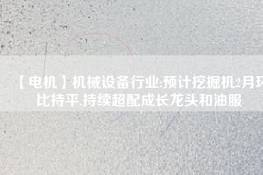 【電機】機械設備行業(yè):預計挖掘機2月環(huán)比持平,持續(xù)超配成長龍頭和油服