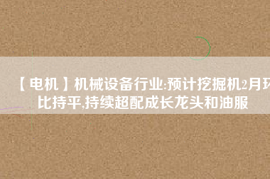 【電機】機械設備行業(yè):預計挖掘機2月環(huán)比持平,持續(xù)超配成長龍頭和油服