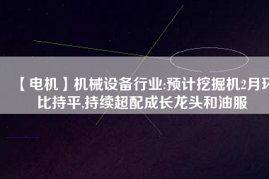 【電機】機械設備行業(yè):預計挖掘機2月環(huán)比持平,持續(xù)超配成長龍頭和油服