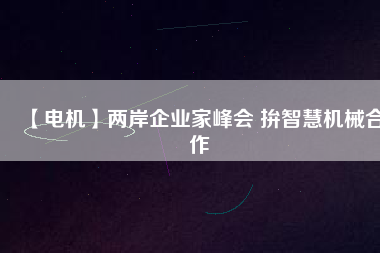 【電機(jī)】兩岸企業(yè)家峰會(huì) 拚智慧機(jī)械合作