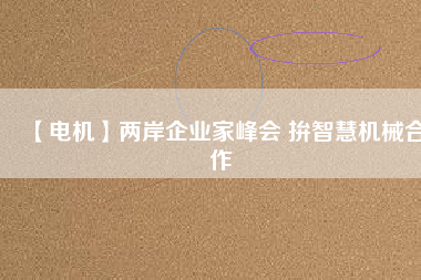 【電機(jī)】兩岸企業(yè)家峰會(huì) 拚智慧機(jī)械合作