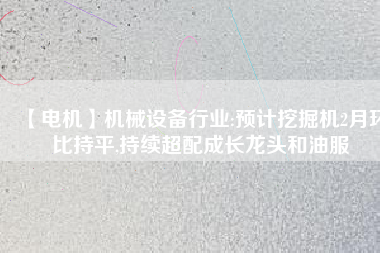 【電機】機械設備行業(yè):預計挖掘機2月環(huán)比持平,持續(xù)超配成長龍頭和油服