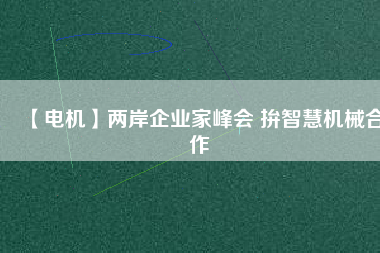 【電機(jī)】兩岸企業(yè)家峰會(huì) 拚智慧機(jī)械合作