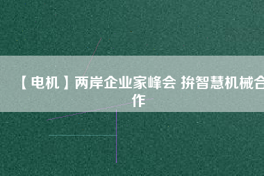 【電機(jī)】兩岸企業(yè)家峰會(huì) 拚智慧機(jī)械合作