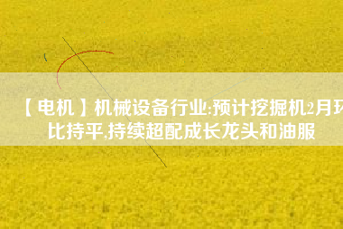 【電機】機械設備行業(yè):預計挖掘機2月環(huán)比持平,持續(xù)超配成長龍頭和油服