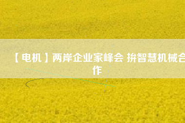 【電機(jī)】兩岸企業(yè)家峰會(huì) 拚智慧機(jī)械合作