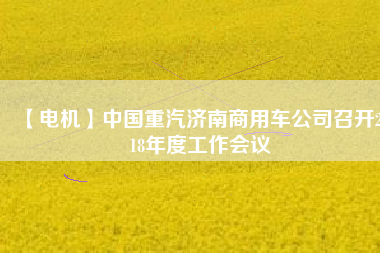 【電機】中國重汽濟南商用車公司召開2018年度工作會議
