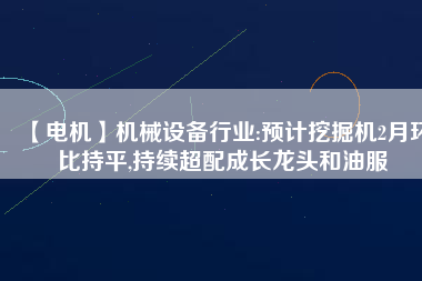 【電機】機械設備行業(yè):預計挖掘機2月環(huán)比持平,持續(xù)超配成長龍頭和油服