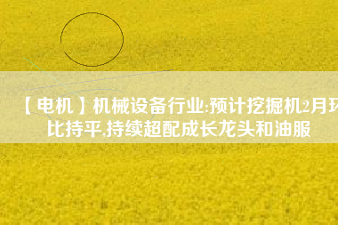 【電機】機械設備行業(yè):預計挖掘機2月環(huán)比持平,持續(xù)超配成長龍頭和油服