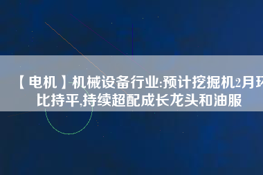 【電機】機械設備行業(yè):預計挖掘機2月環(huán)比持平,持續(xù)超配成長龍頭和油服