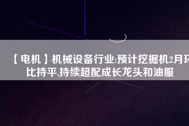 【電機】機械設備行業(yè):預計挖掘機2月環(huán)比持平,持續(xù)超配成長龍頭和油服