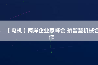 【電機(jī)】兩岸企業(yè)家峰會(huì) 拚智慧機(jī)械合作