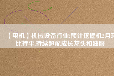 【電機】機械設備行業(yè):預計挖掘機2月環(huán)比持平,持續(xù)超配成長龍頭和油服