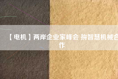 【電機(jī)】兩岸企業(yè)家峰會(huì) 拚智慧機(jī)械合作