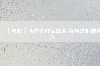 【電機(jī)】兩岸企業(yè)家峰會(huì) 拚智慧機(jī)械合作