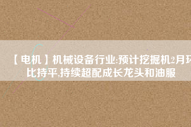 【電機】機械設備行業(yè):預計挖掘機2月環(huán)比持平,持續(xù)超配成長龍頭和油服