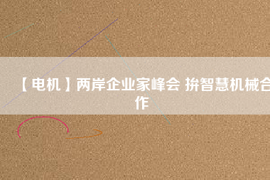 【電機(jī)】兩岸企業(yè)家峰會(huì) 拚智慧機(jī)械合作