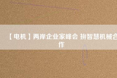 【電機(jī)】兩岸企業(yè)家峰會(huì) 拚智慧機(jī)械合作