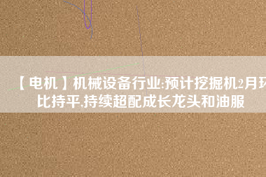 【電機】機械設備行業(yè):預計挖掘機2月環(huán)比持平,持續(xù)超配成長龍頭和油服