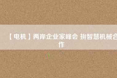 【電機(jī)】兩岸企業(yè)家峰會(huì) 拚智慧機(jī)械合作