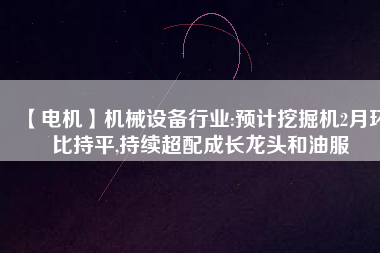 【電機】機械設備行業(yè):預計挖掘機2月環(huán)比持平,持續(xù)超配成長龍頭和油服