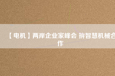【電機(jī)】兩岸企業(yè)家峰會(huì) 拚智慧機(jī)械合作